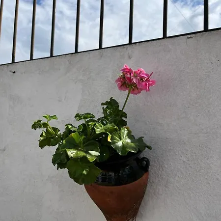 Apartment Atico Centro 17 Jerez de la Frontera